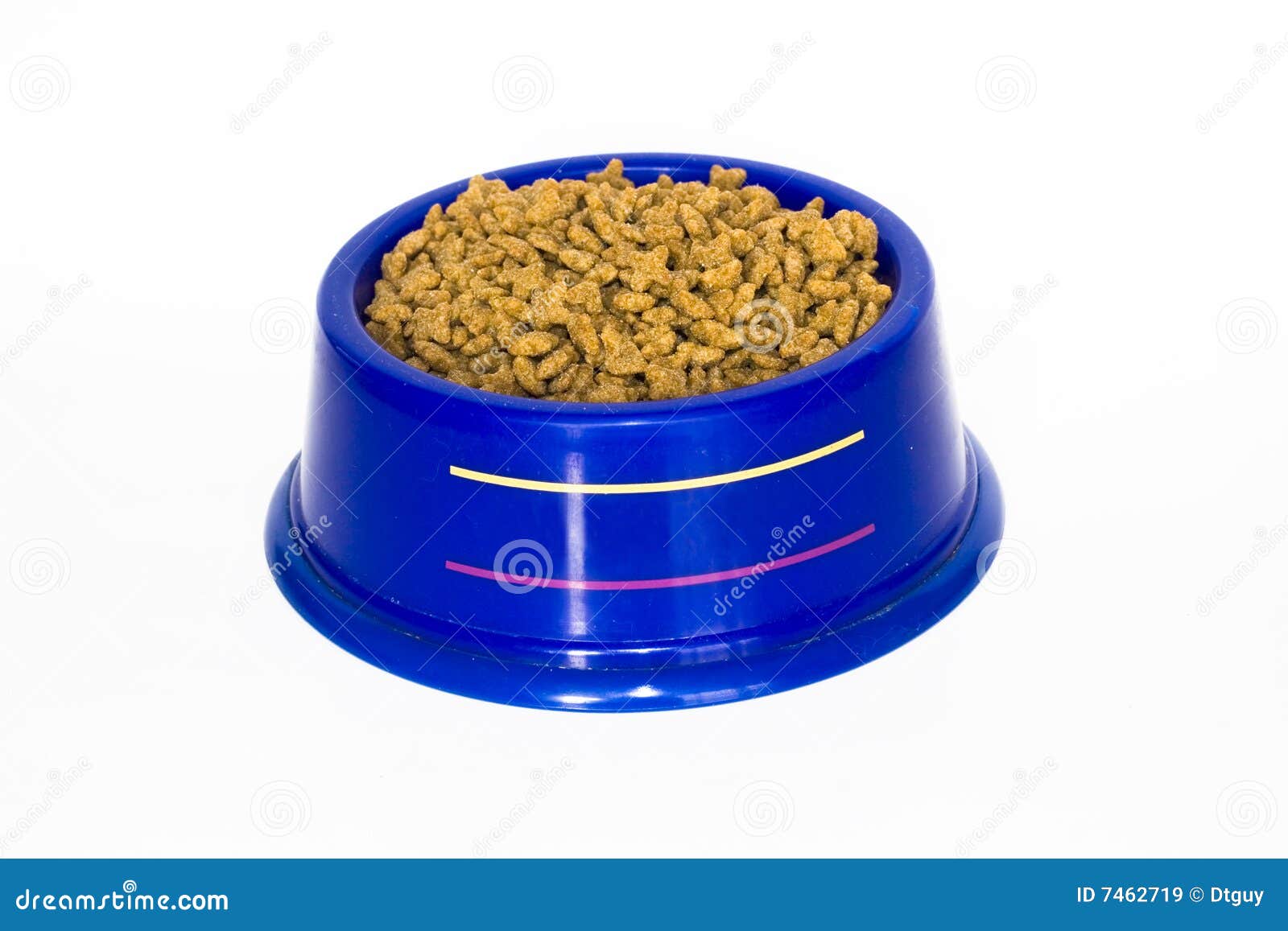 Pet food stock image. Image of heap, isolated, container 7462719