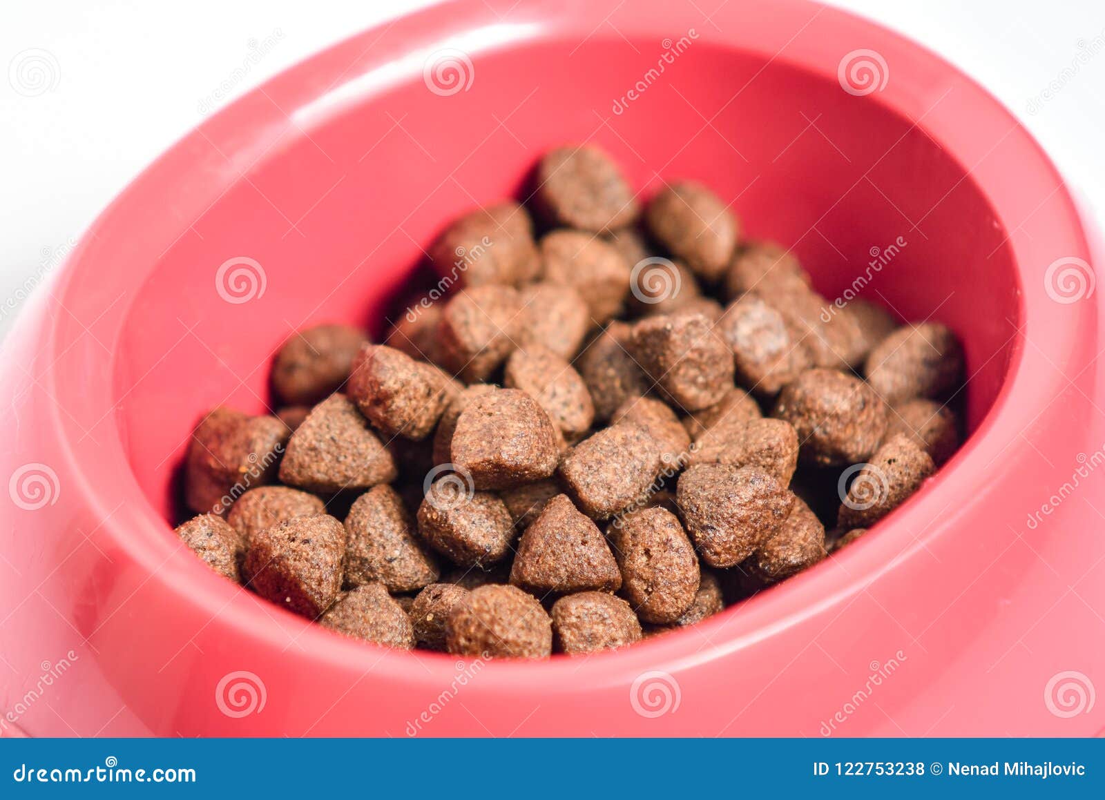 PET FOOD in BOWL stock photo. Image of plastic, color 122753238