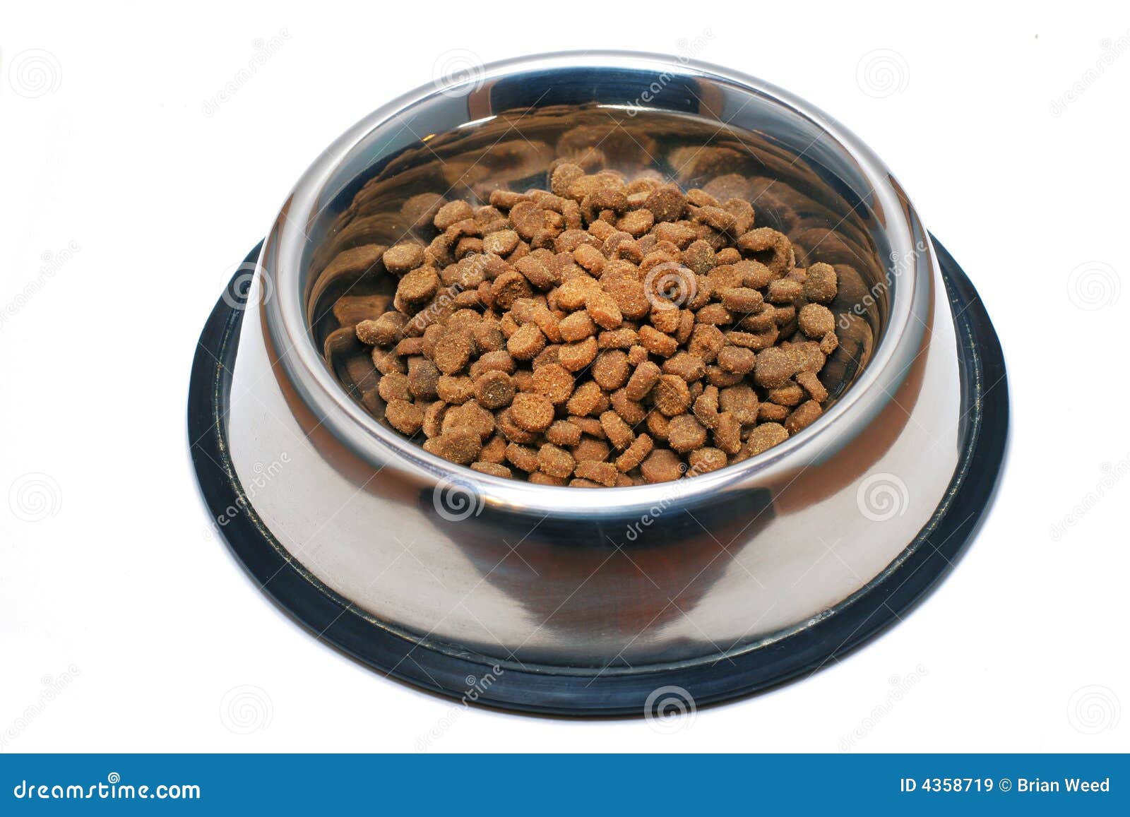Pet Food Dish stock image. Image of brown, supper, feed 4358719