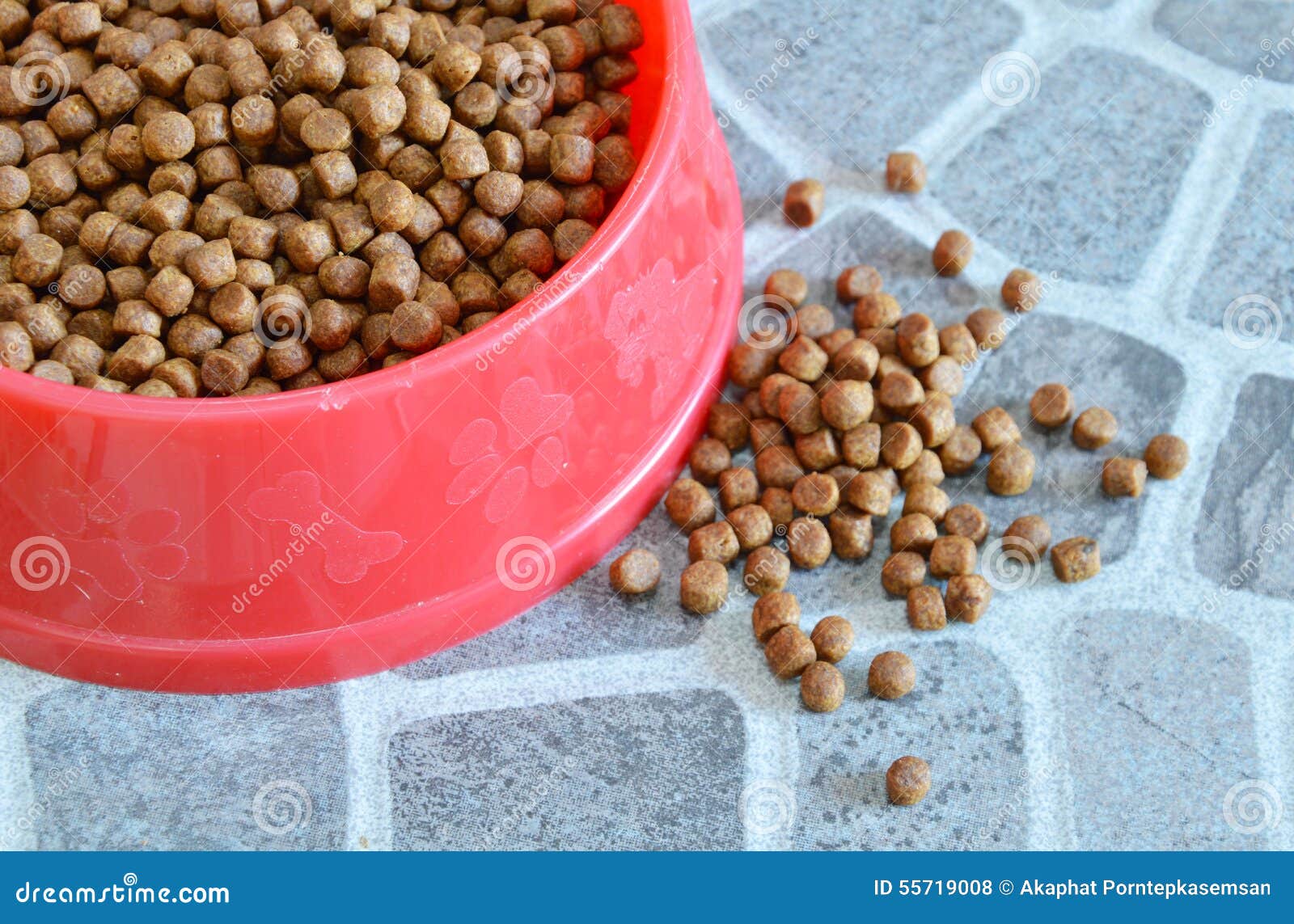 Pet food in red bowl stock photo. Image of instant, convenient 55719008