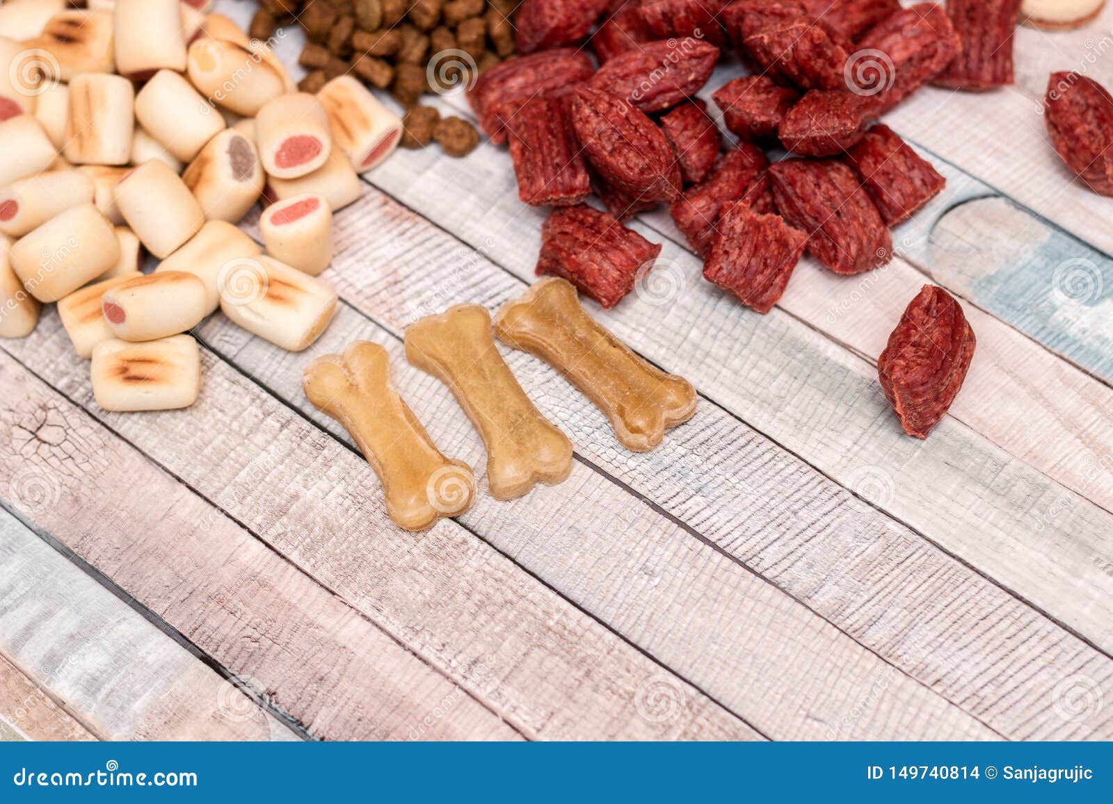 Pet food, snacks for dogs stock photo. Image of bone 149740814