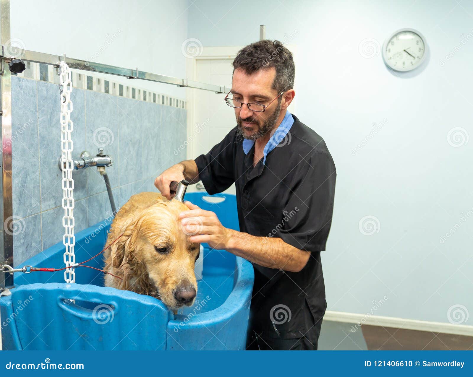 cleaning a dog grooming salon