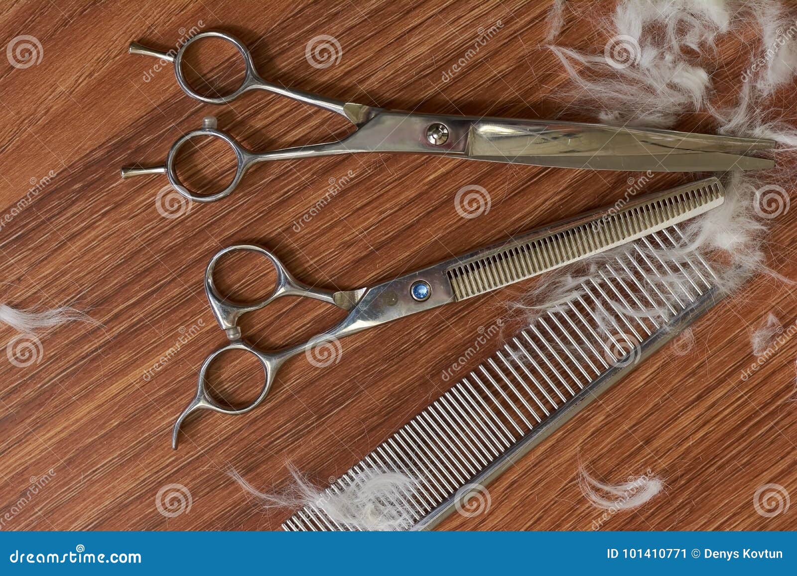 6,854 Pet Grooming Scissors Stock Photos - Free & Royalty-Free Stock Photos  from Dreamstime