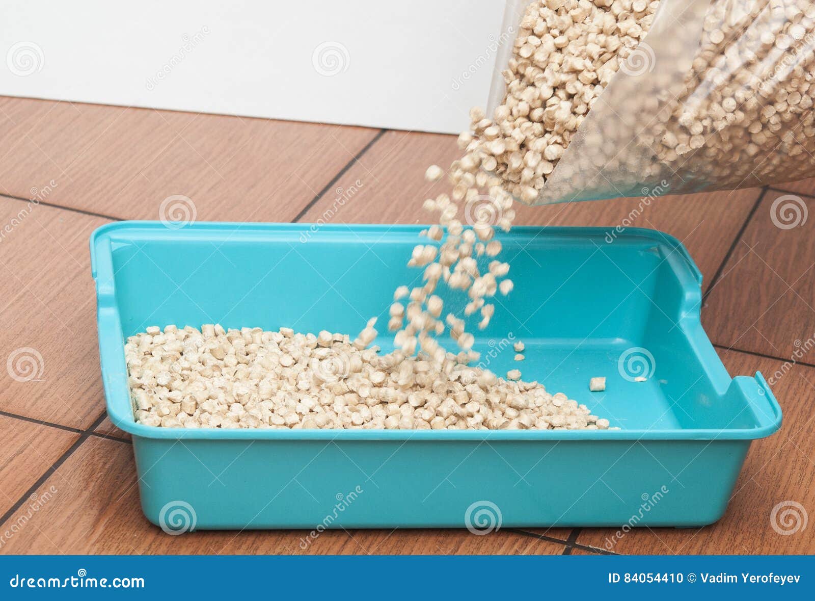 Pet litter box stock photo. Image of blue, feline, toilet 84054410
