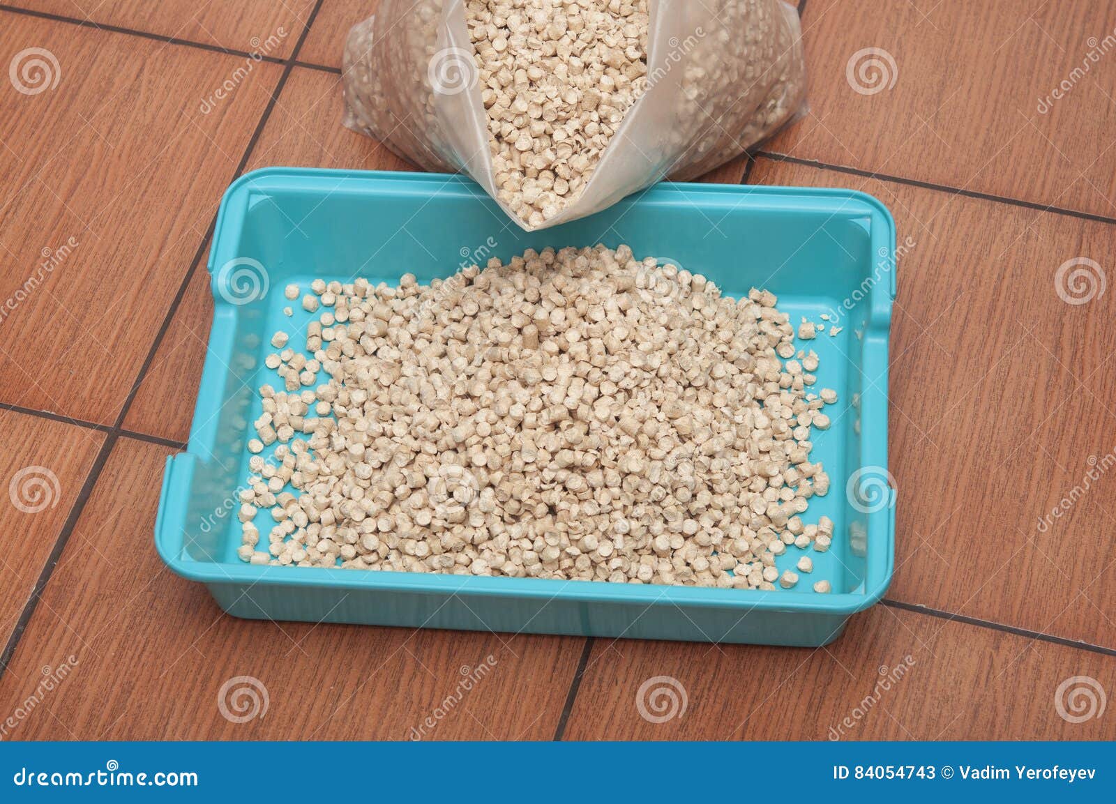Pet litter box stock image. Image of litter, animal, tray 84054743