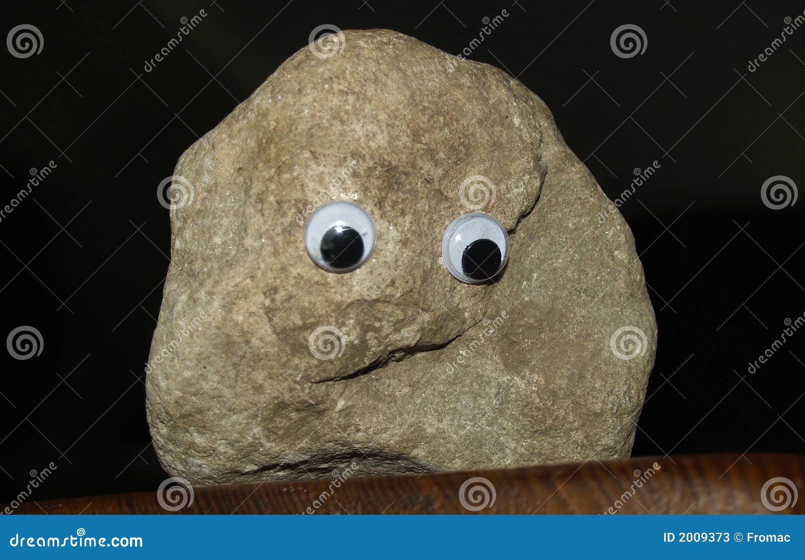 pet rock