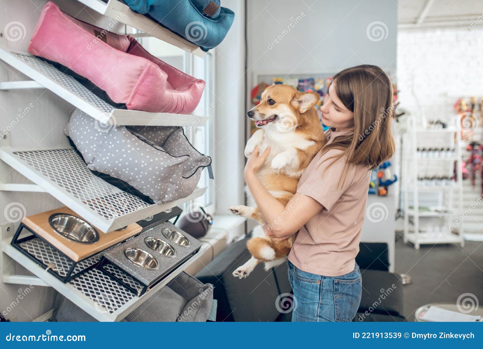 Pet Owner Choosing a Pet Bed in a Pet Shop Stock Image Image of