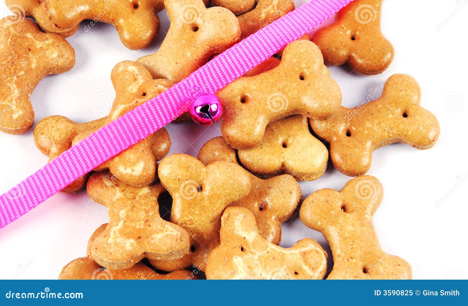 Pet supplies. stock image. Image of goodness, feed, safety 3590825