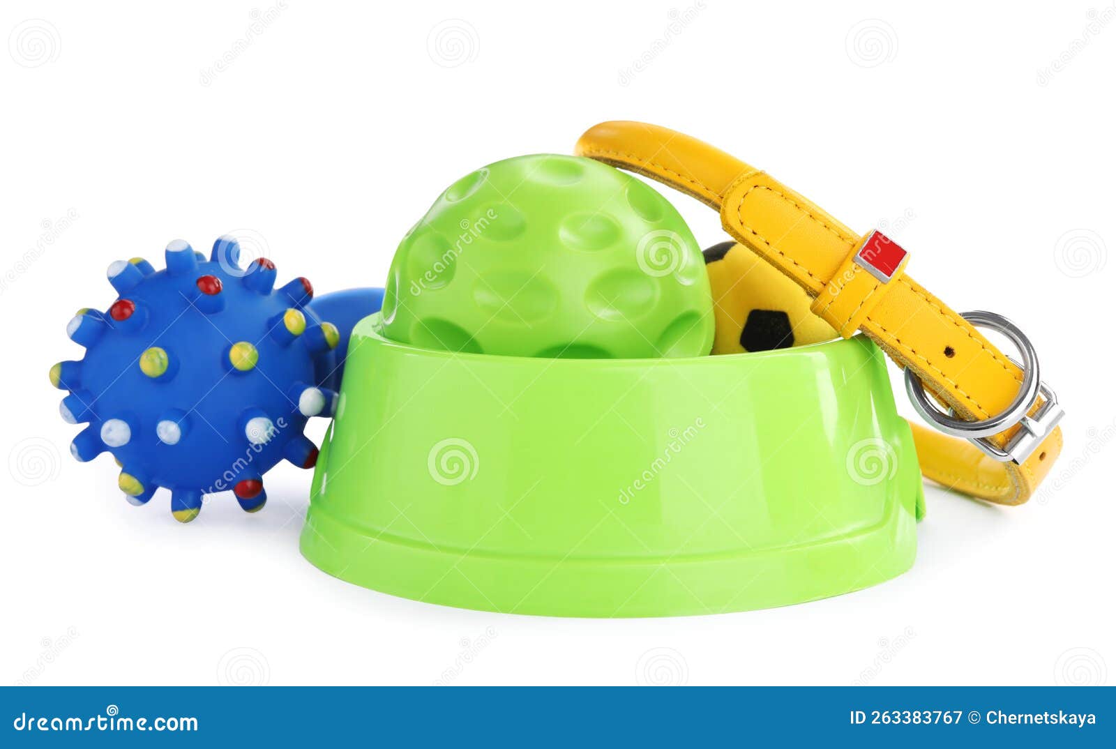 Pet Toys, Bowl and Collar Isolated on White Stock Image Image of game