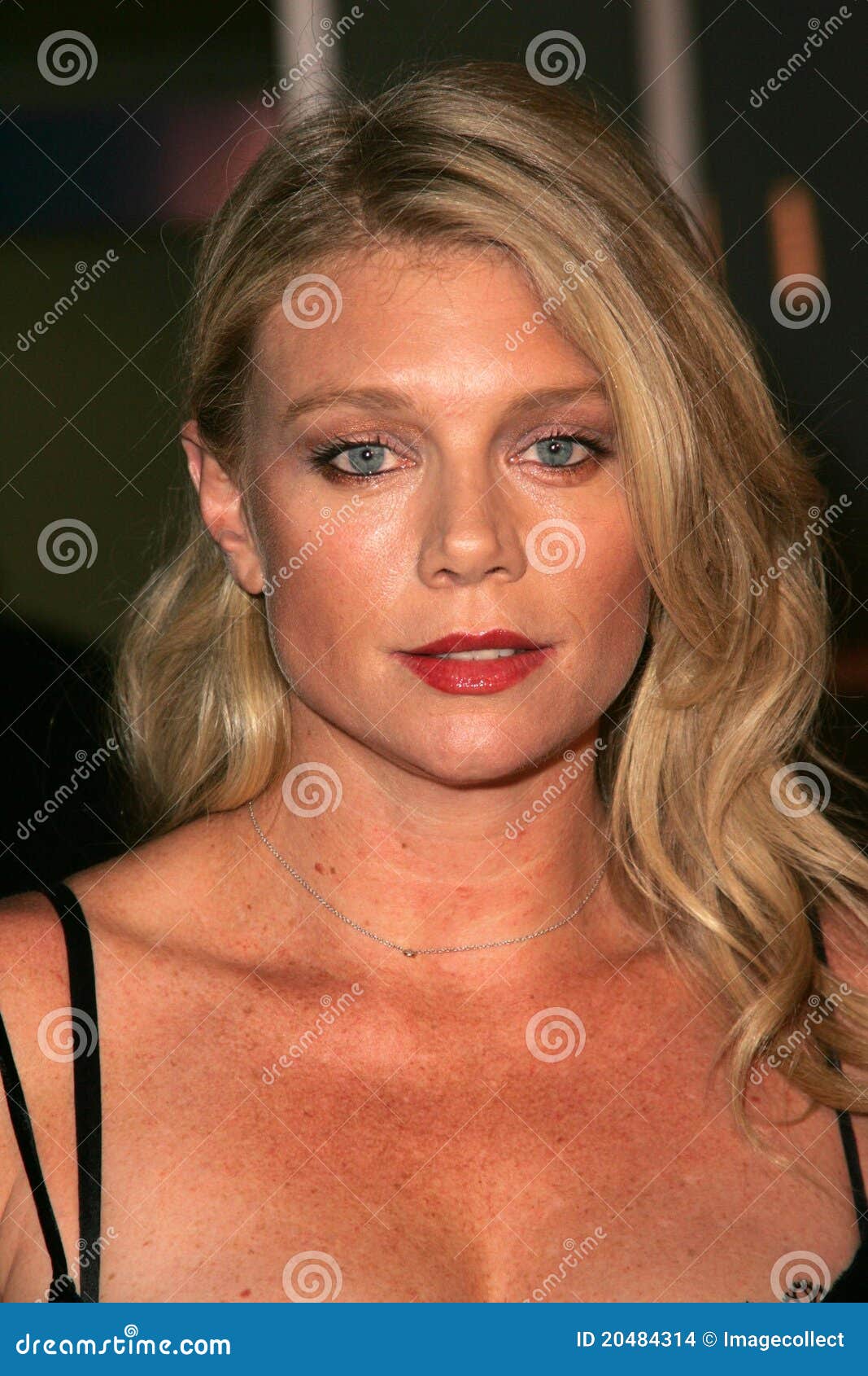 Peta Wilson editorial stock image. Image of wilson, painted - 20484314
