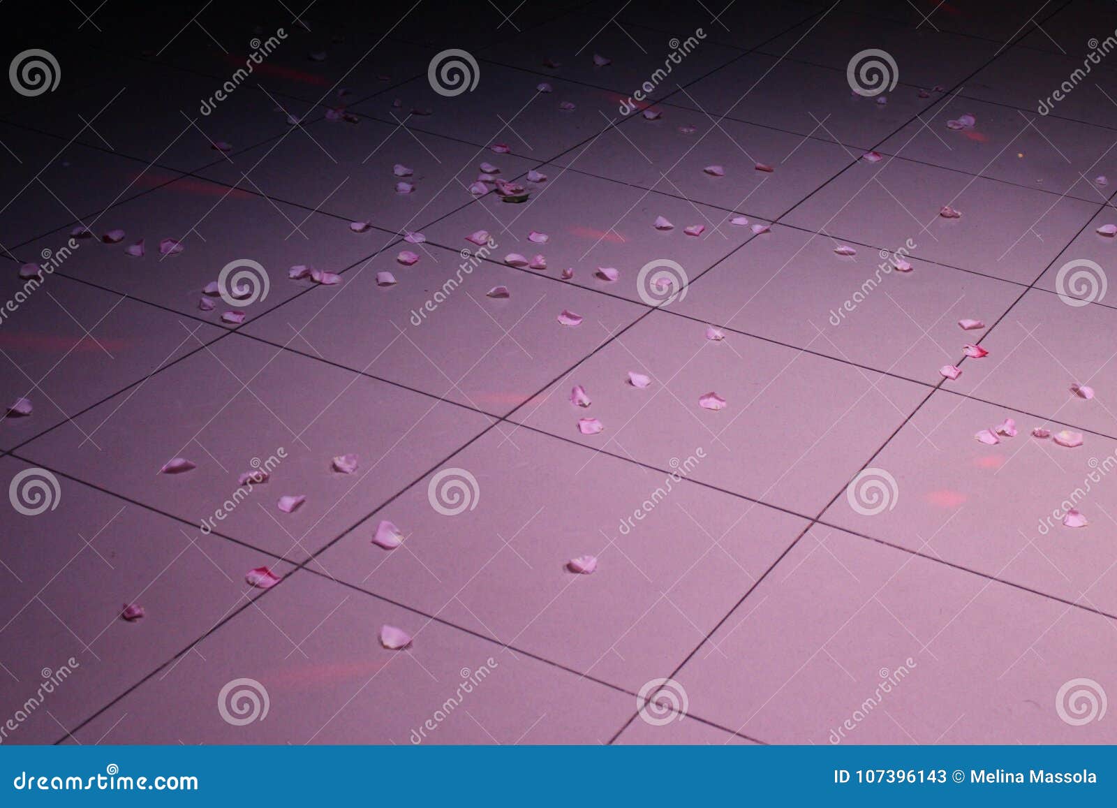 petals on the dance floor