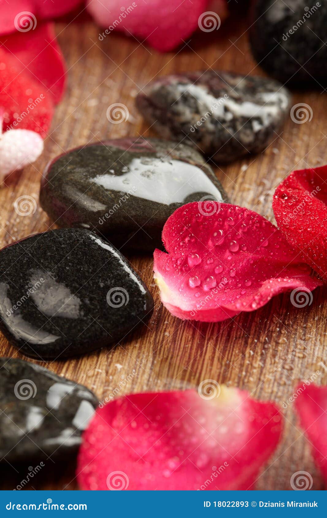 Petals of a rose and pebble