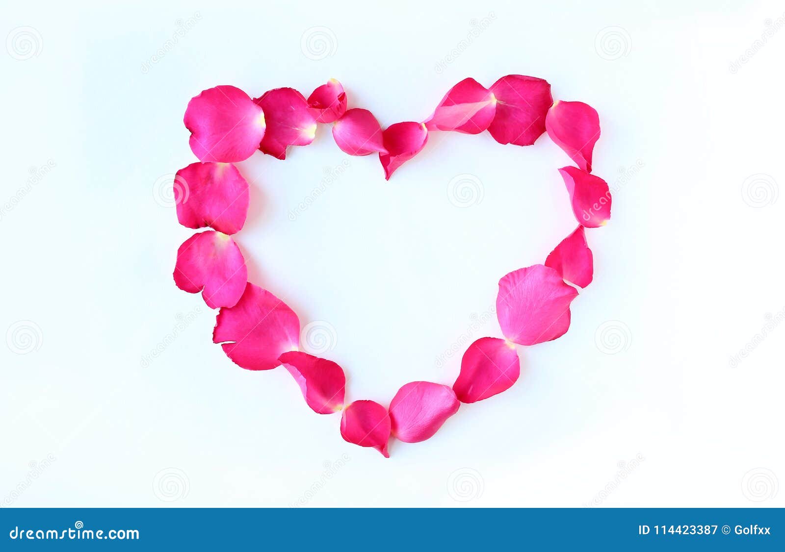 Petals of Rose Flower in Heart Shape Isolated on White Background Stock