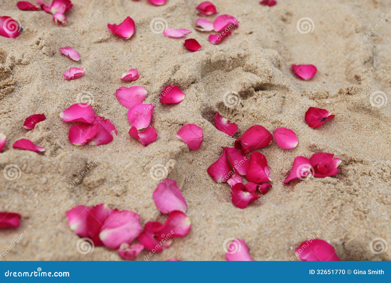 Petals in the sand. stock photo. Image of wedding, decoration 32651770