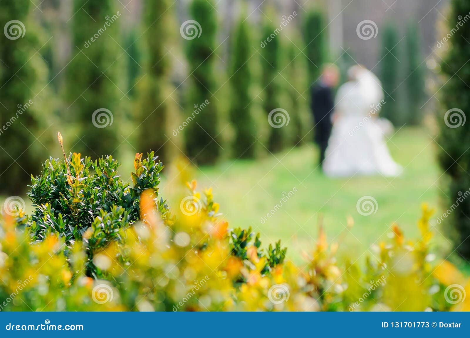 3,116 Wedding Couple Blur Stock Photos - Free & Royalty-Free Stock Photos  from Dreamstime