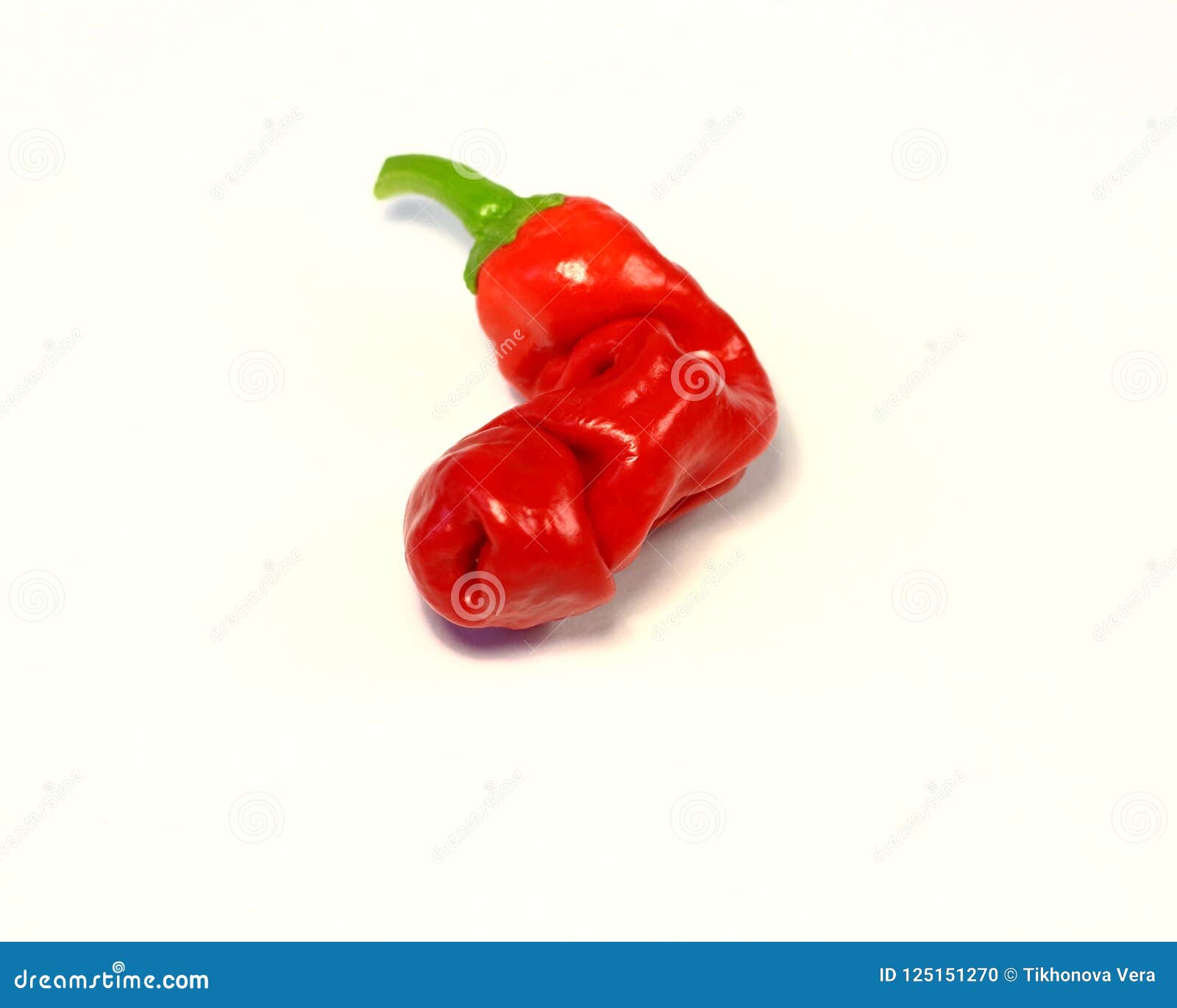 capsicam penis