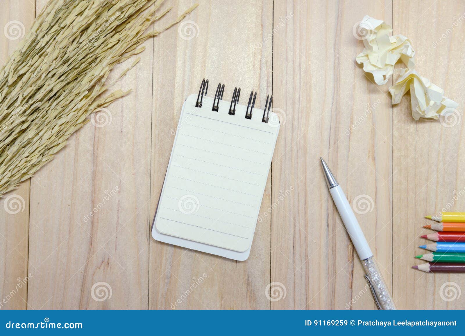 Petit Bloc-notes De Papier De Carnet Pour écrire L'information Avec Le Stylo,  Le Crayon De Couleur Et Les Boules De Papier Chiffo Image stock - Image du  livre, conception: 91169259