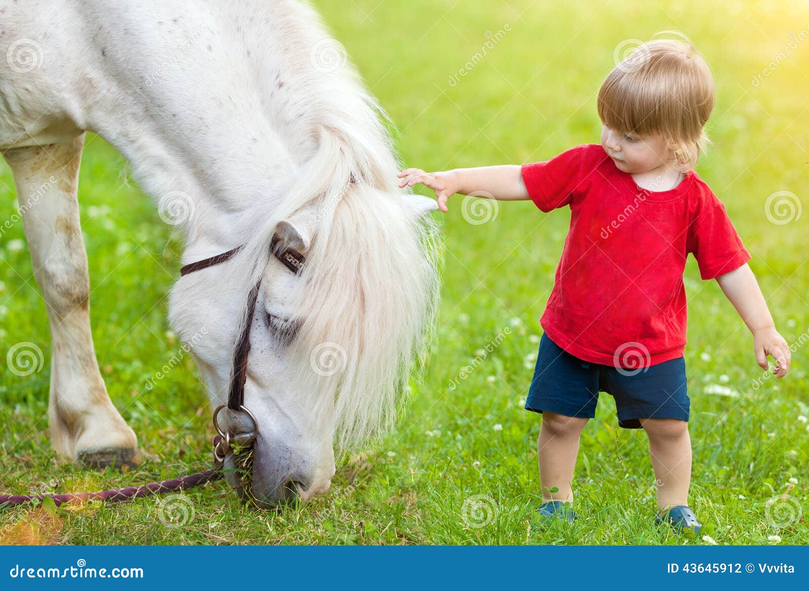 Petit Enfant D'aller À Cheval Banque D'Images et Photos Libres De Droits.  Image 5190656