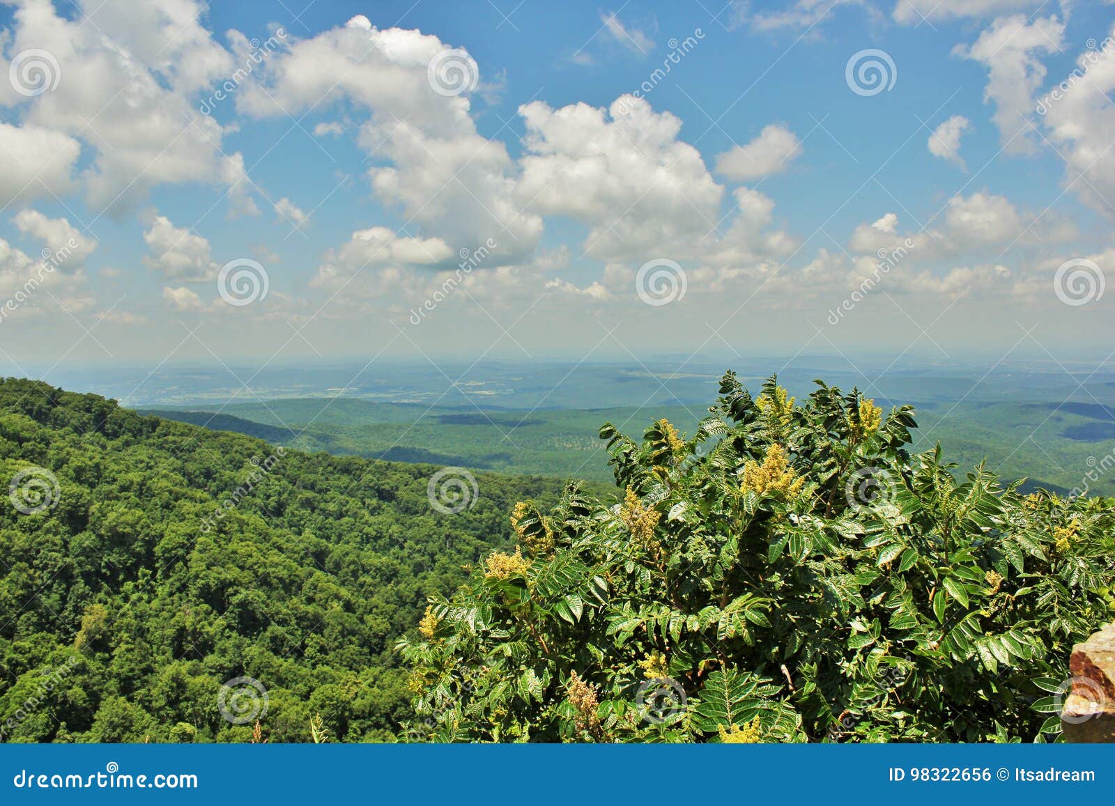 Petit Jean River Valley stock photo. Image of blue, magazine 98322656