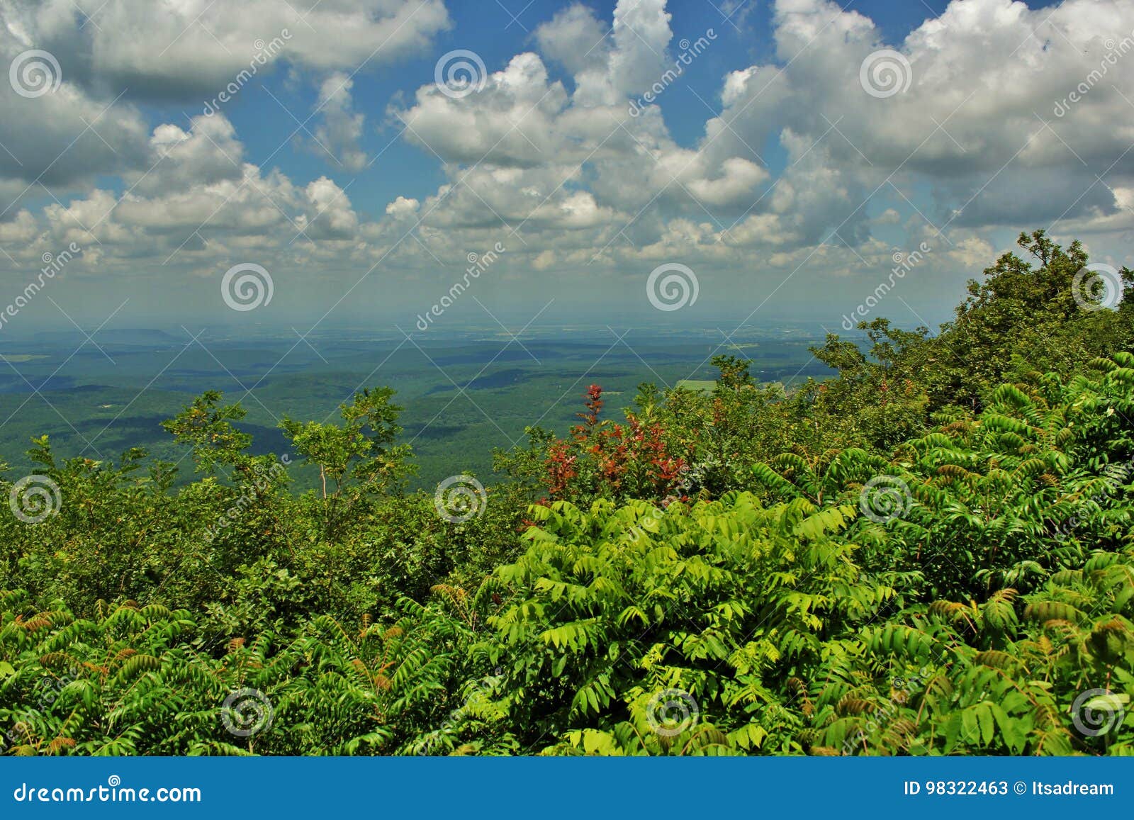 Petit Jean River Valley stock image. Image of petit, arkansas 98322463