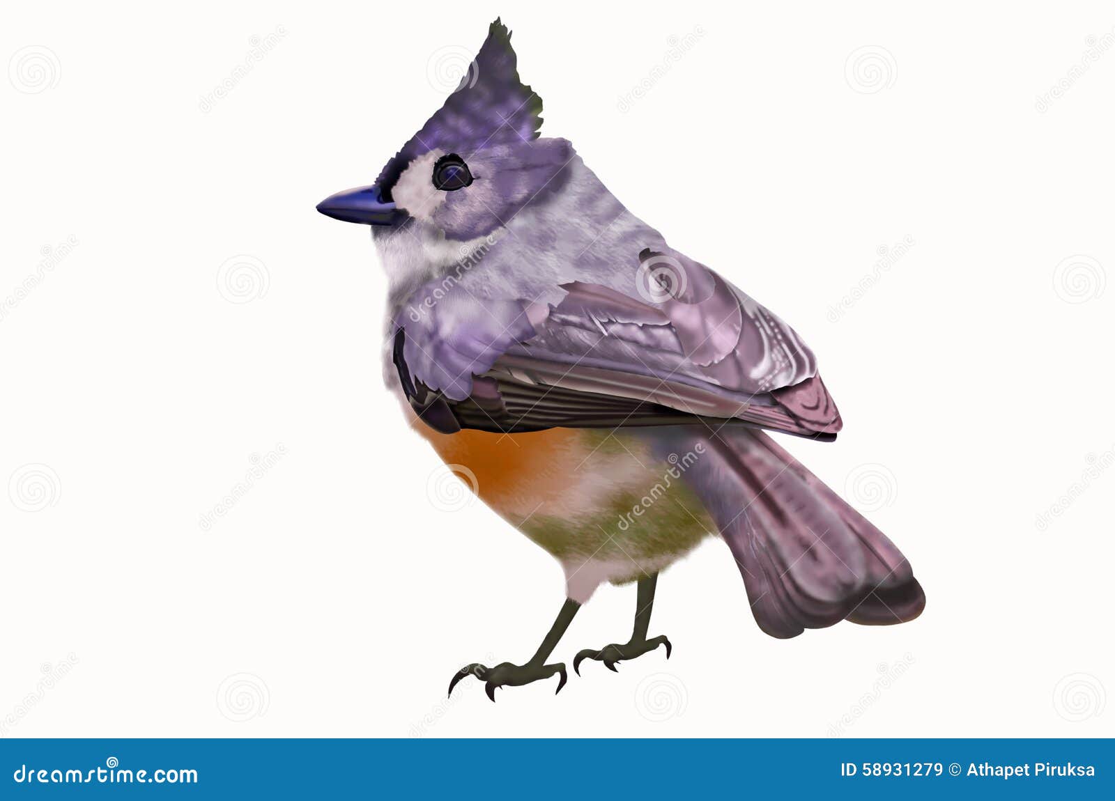 Petit Oiseau Sur Le Fond Blanc Illustration Stock