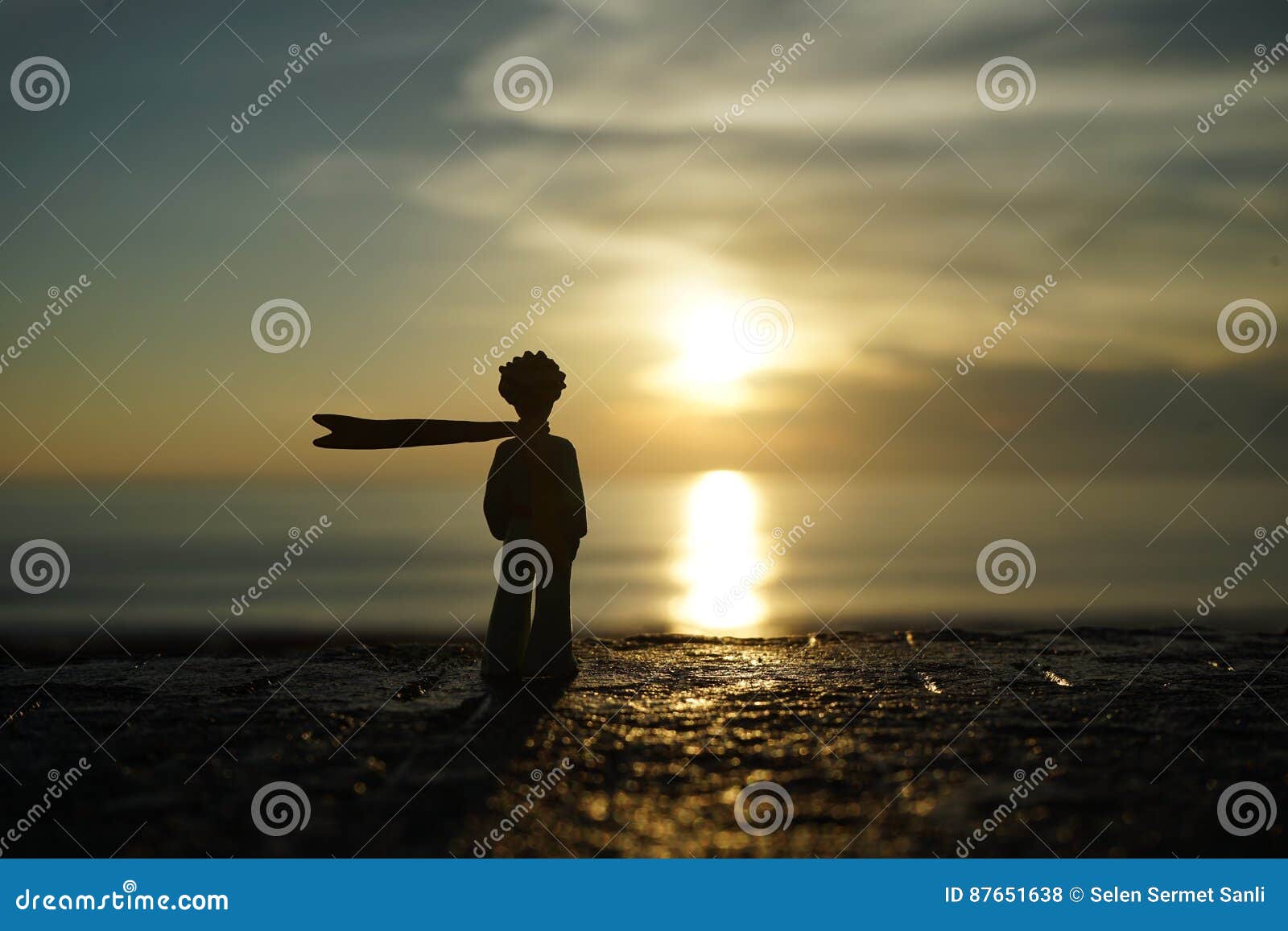 Petit Prince Sur Le Coucher Du Soleil Photo Stock éditorial