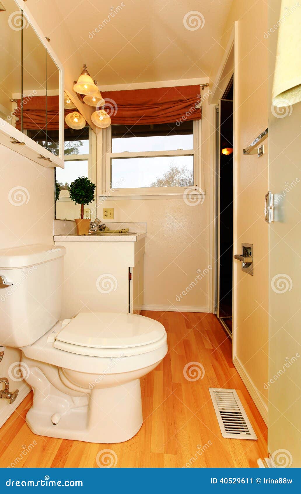 de salle de bains Vue de toilette, de coffret et de plancher 