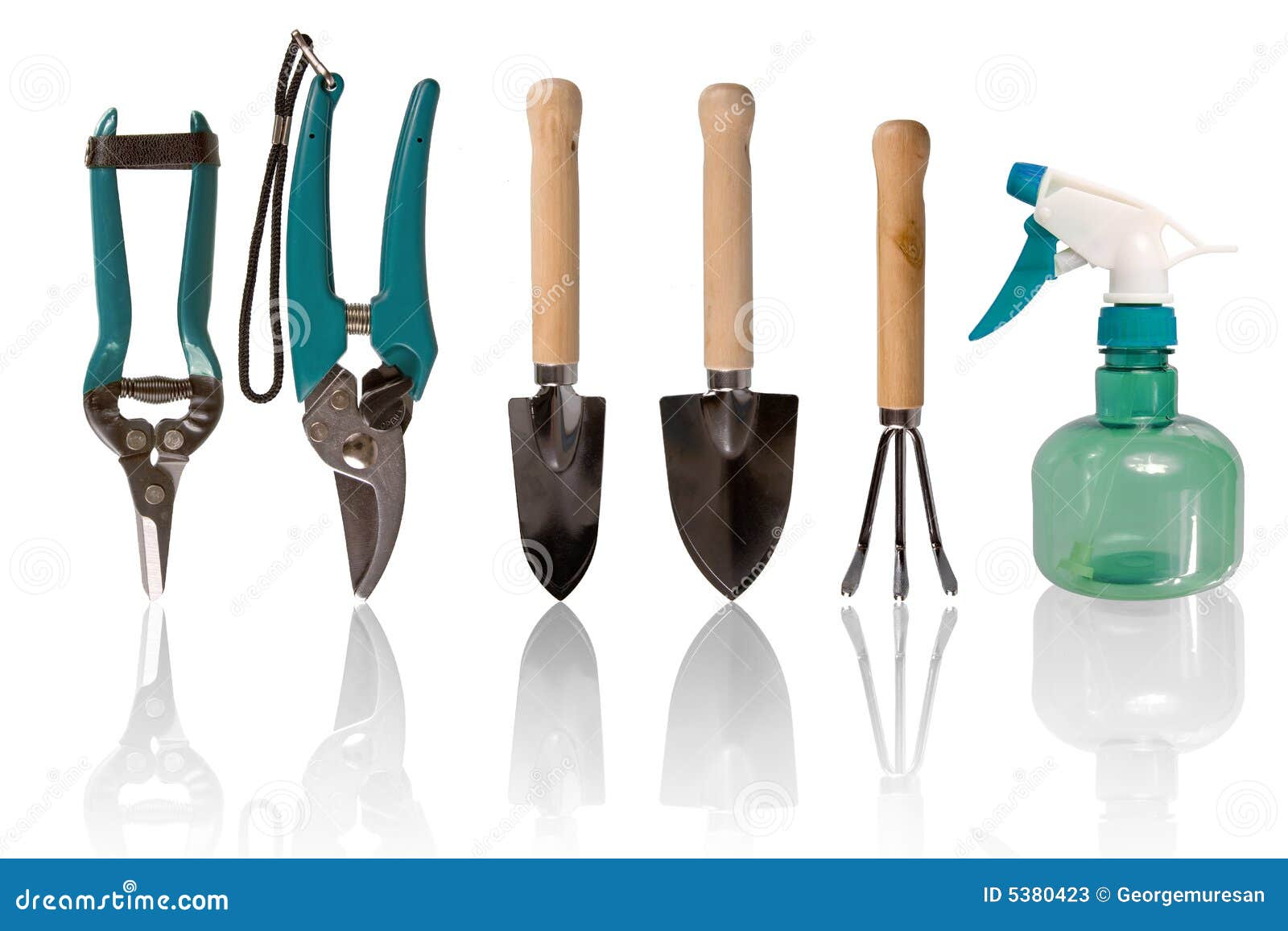 Outils Essentiels Pour L'entretien D'espaces Verts