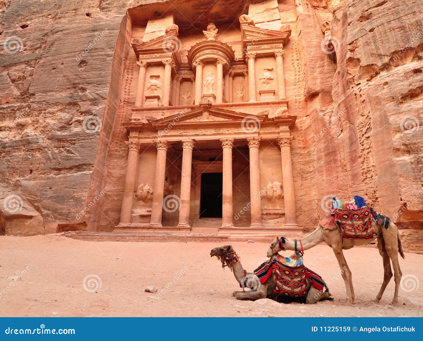 petra treasury and camels
