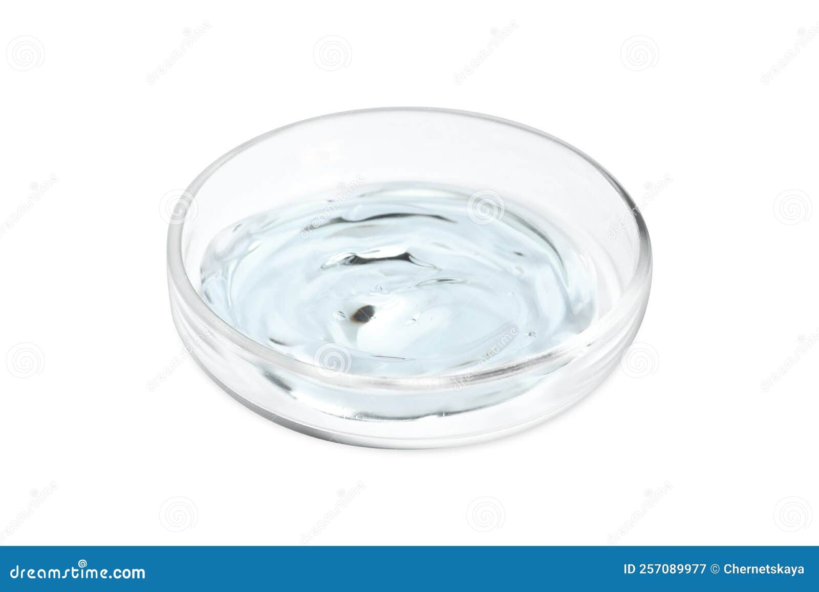Petri Dish with Liquid Isolated on White Stock Image Image of object