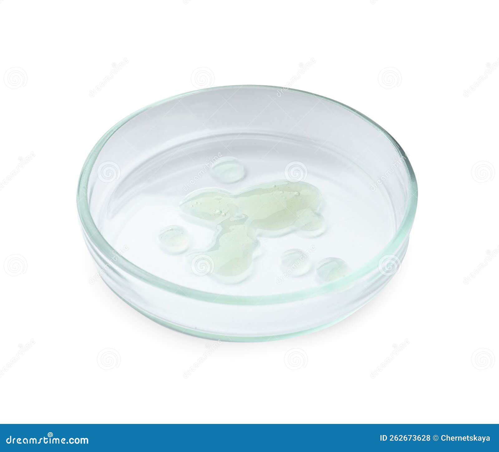 Petri Dish with Liquid Isolated on White Stock Photo Image of