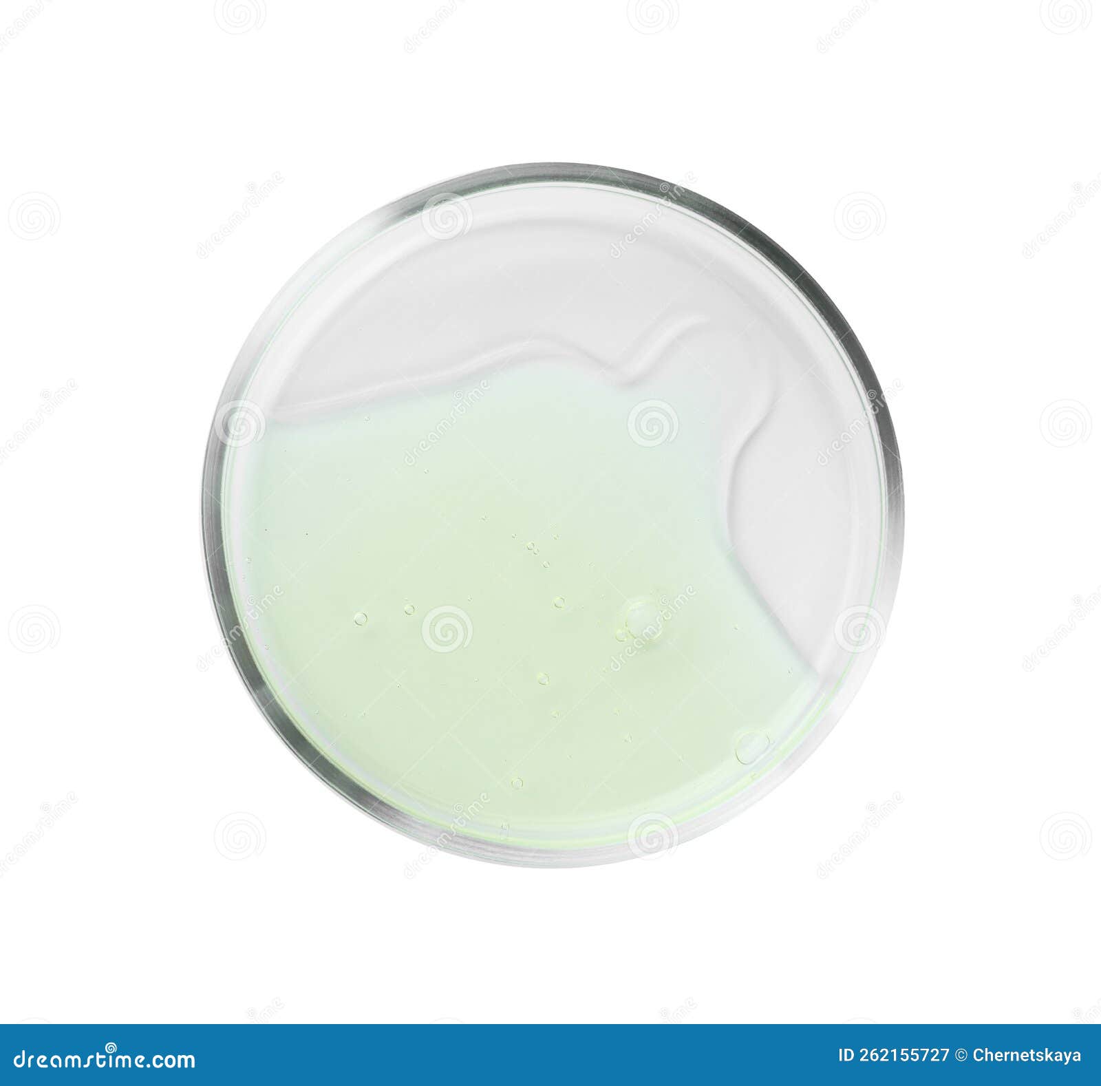 Petri Dish with Liquid Isolated on White, Top View Stock Image Image