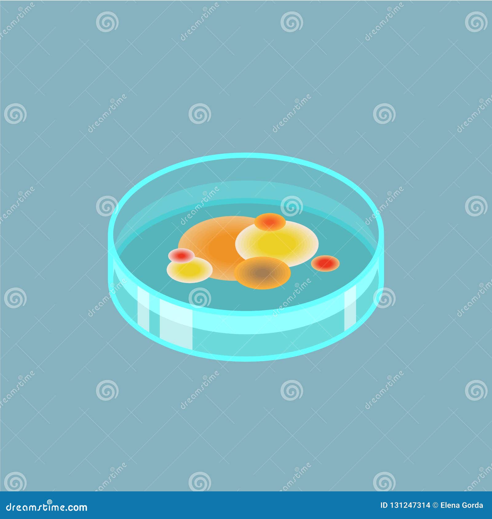 Petri Dish Vector Isometric Icon Stock Vector Illustration of