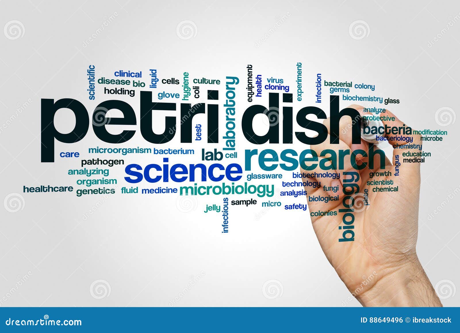 Petri Dish Word Cloud Concept Stock Photo Image of analysis