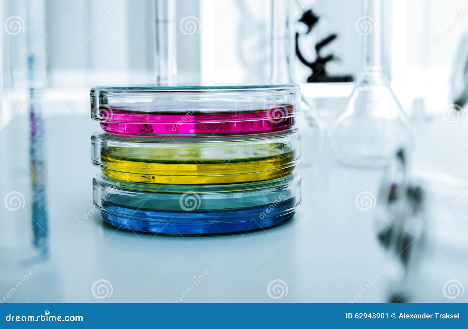 Petri Dishes with Culture Medium in the Laboratory Stock Image Image