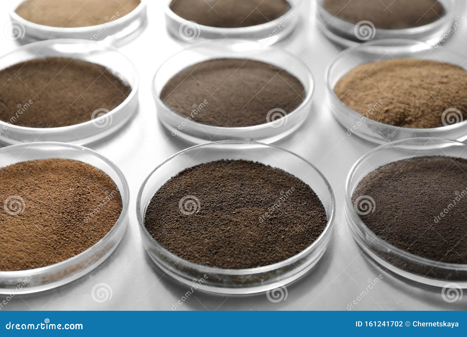 Petri Dishes with Soil Samples on Table. Laboratory Research Stock