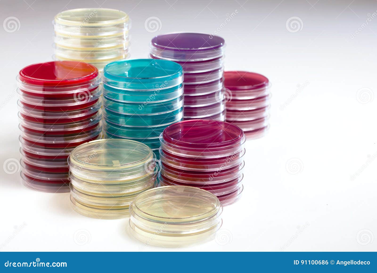 Petri Dishes Stacked in the Workbench of Lab Stock Photo Image of