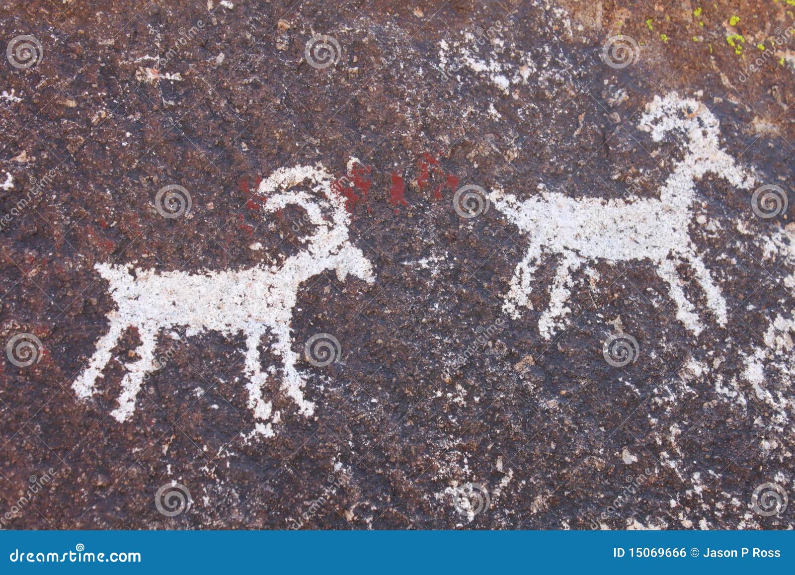 Petroglyphs grapvine φαραγγιών. αρχαίος petroglyphs της Νεβάδας αμπέλων φαραγγιών τοίχος βράχου