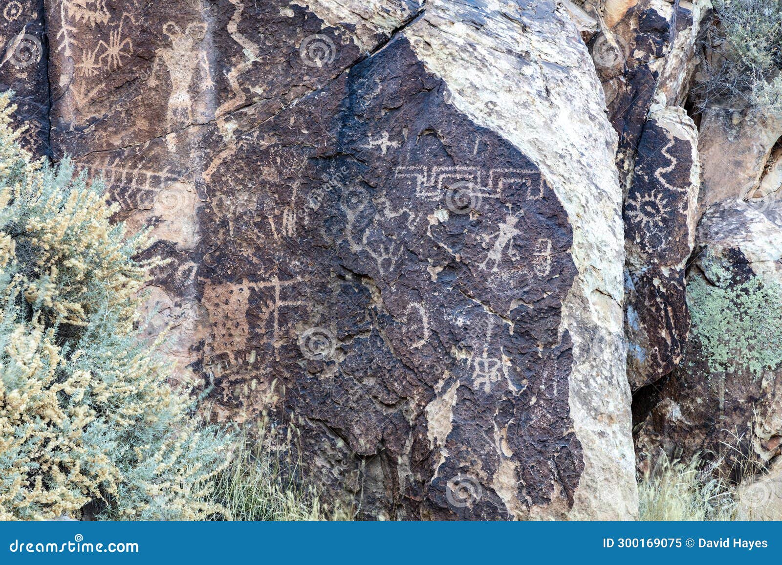 petroglyphs on rocks. green vegetation.