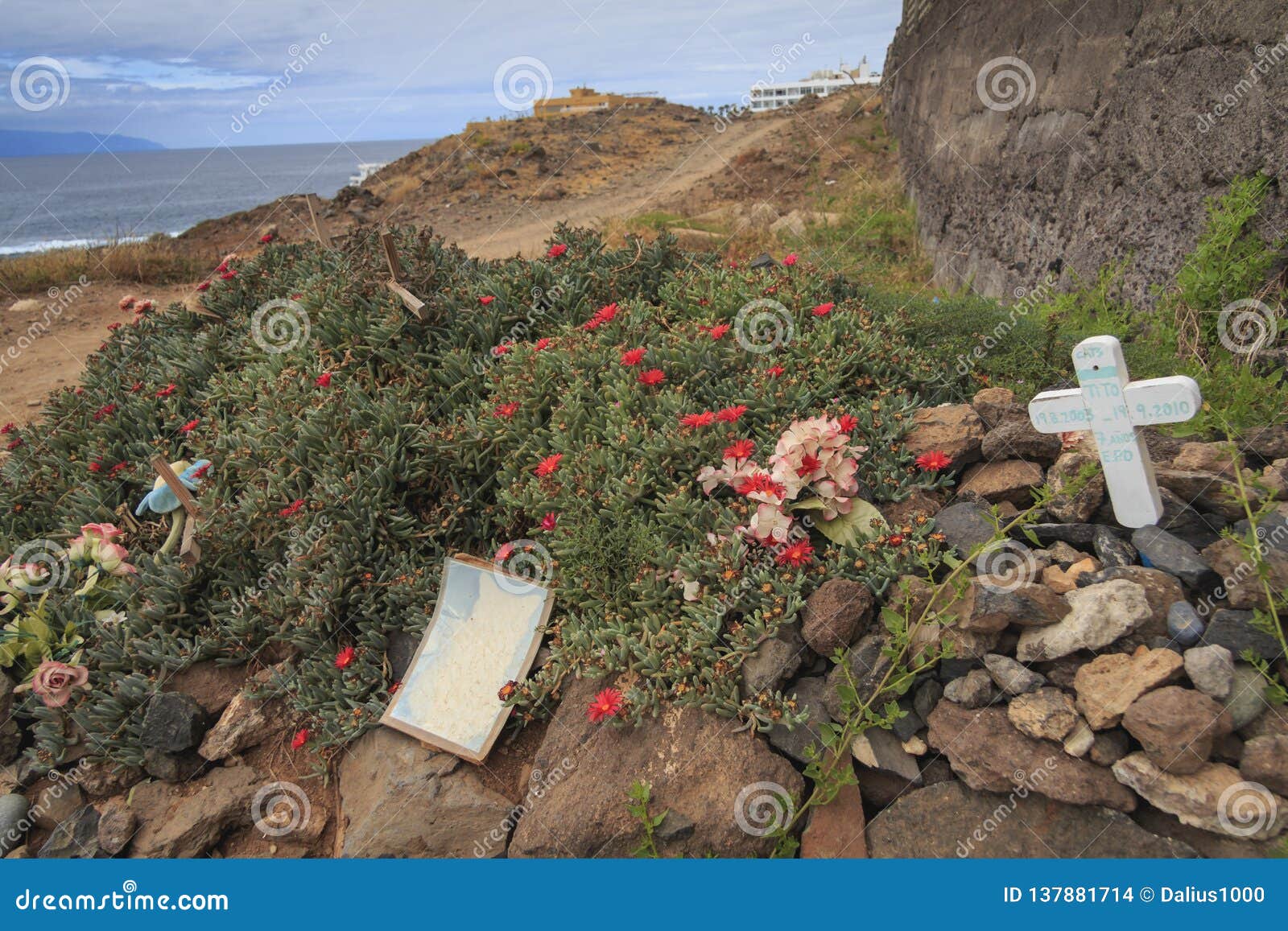 pets cemetery in tenerife, callo salvaje