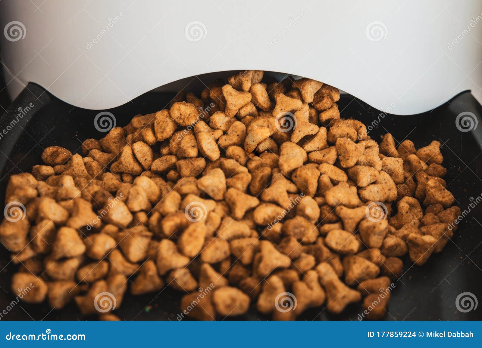 Pets Food Cats and Dogs Food Stock Photo Image of animalsnutrition