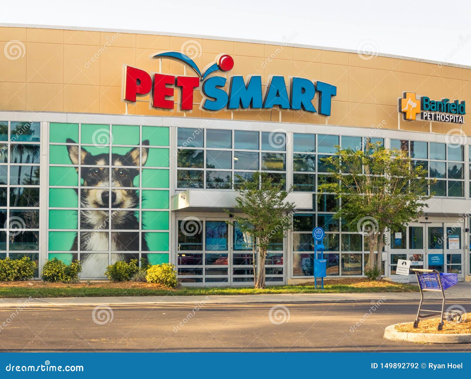 petsmart with banfield hospital