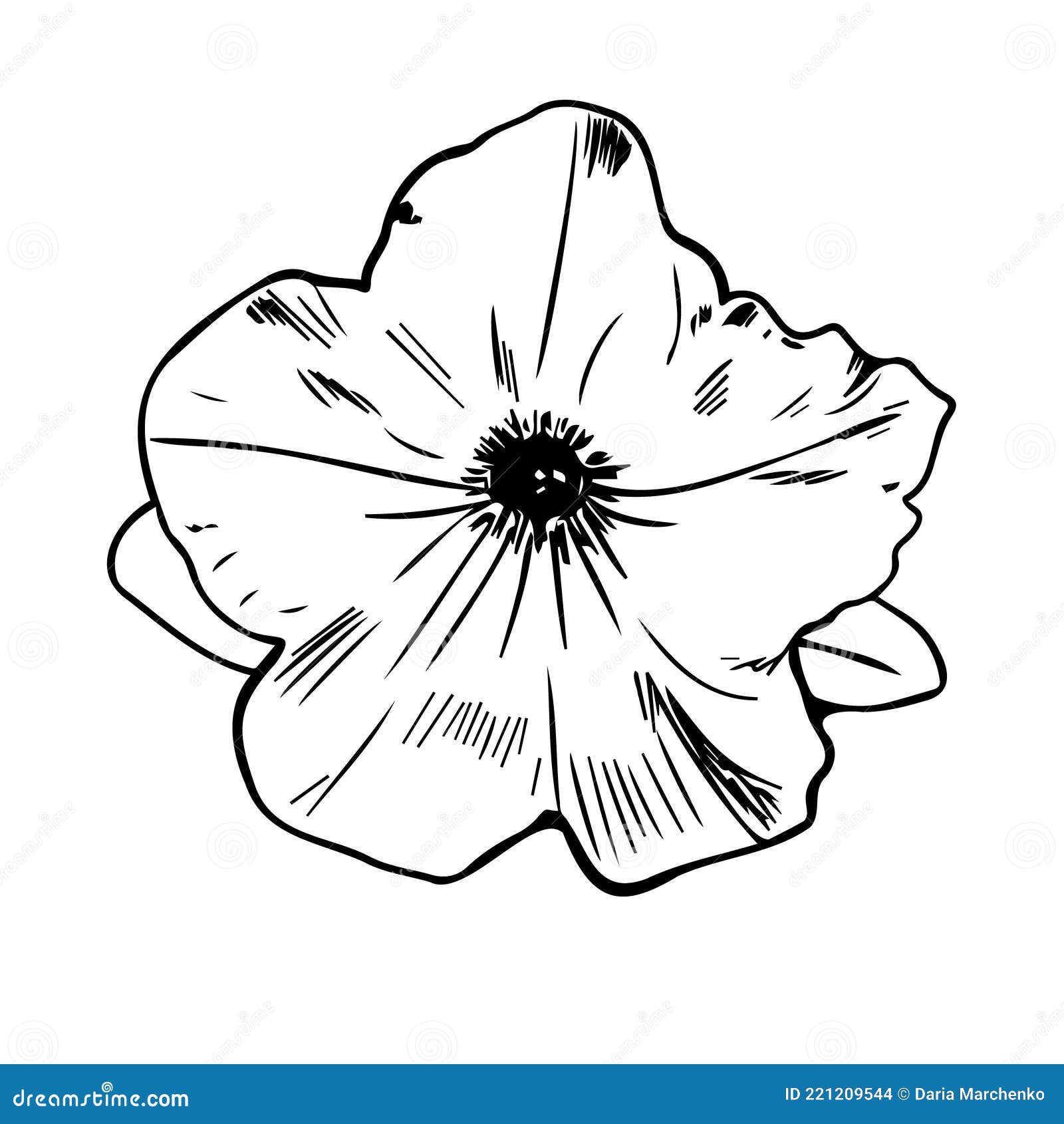 Details 83+ petunia flower sketch latest - in.eteachers