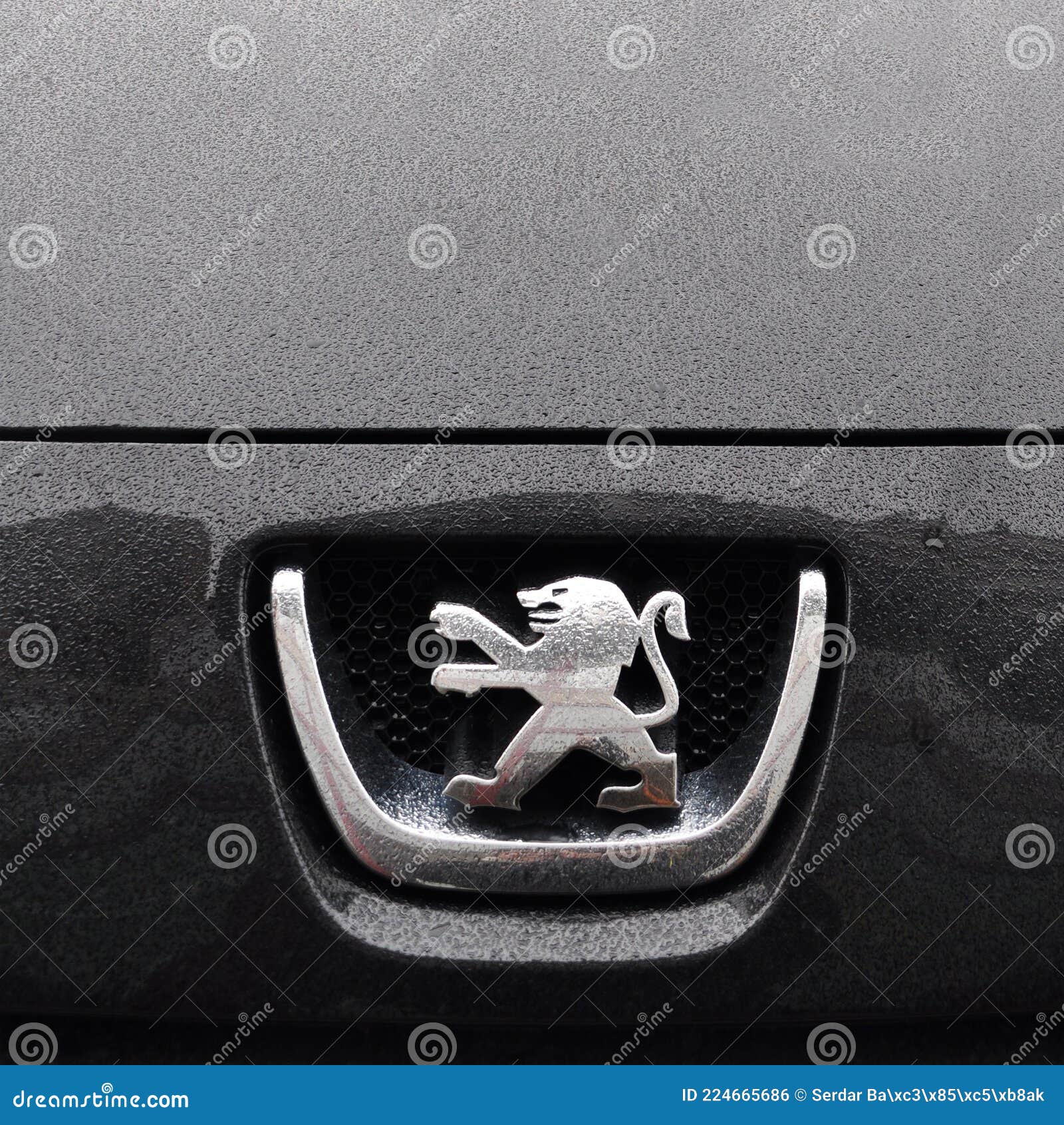Peugeot Logo, Luxury Car in Istanbul City, December 29 2010