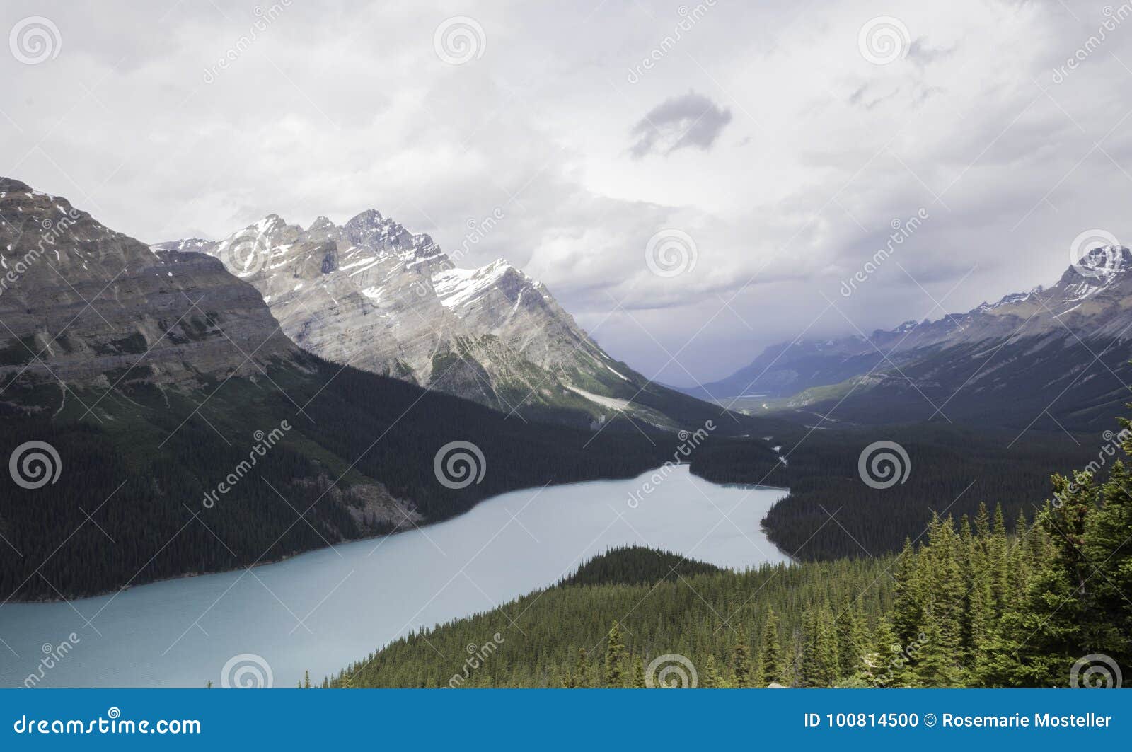 Peyto Lake in Alberta Canada Stock Photo - Image of water, rockies ...