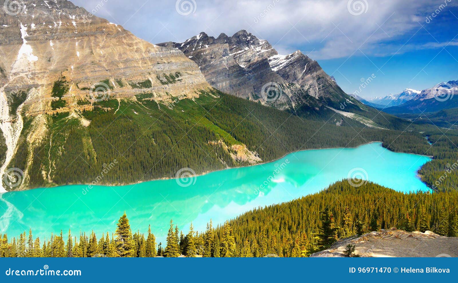 Peyto Lake Banff National Park Canada Stock Photo Image Of Alberta