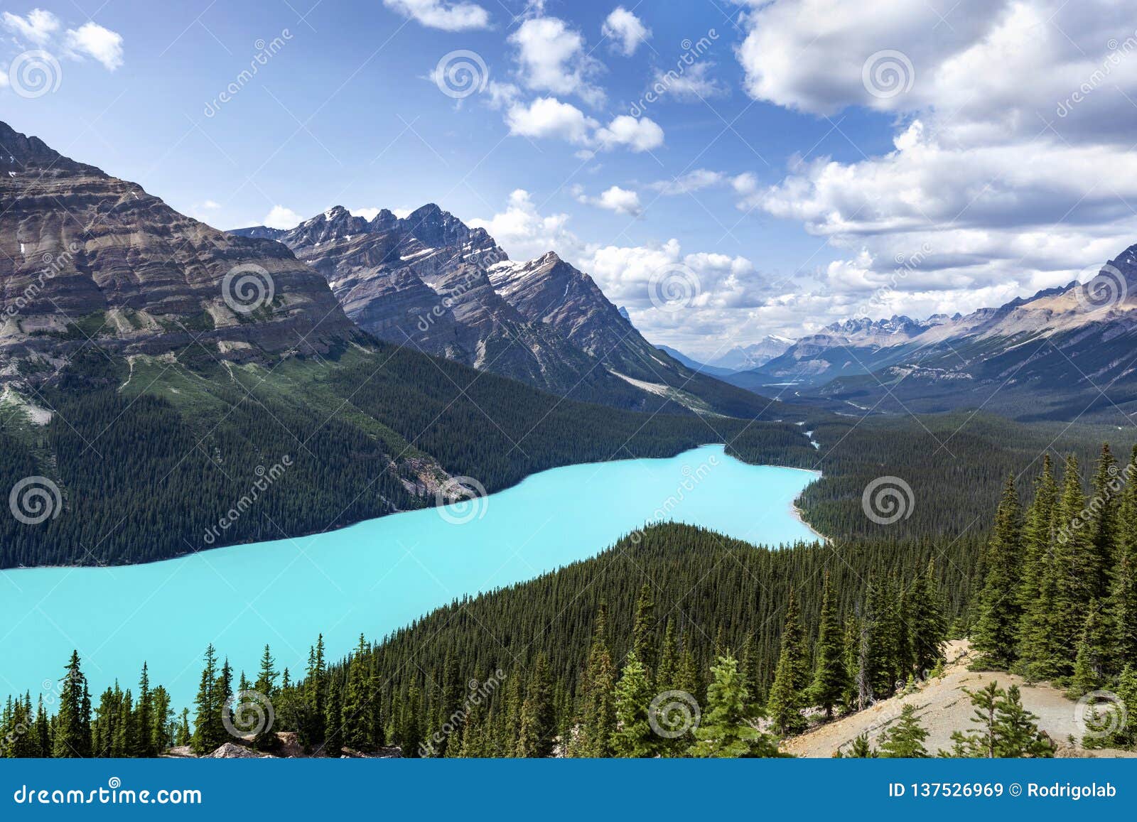 Peyto Lake In Banff National Park Alberta Canada Stock Image Image