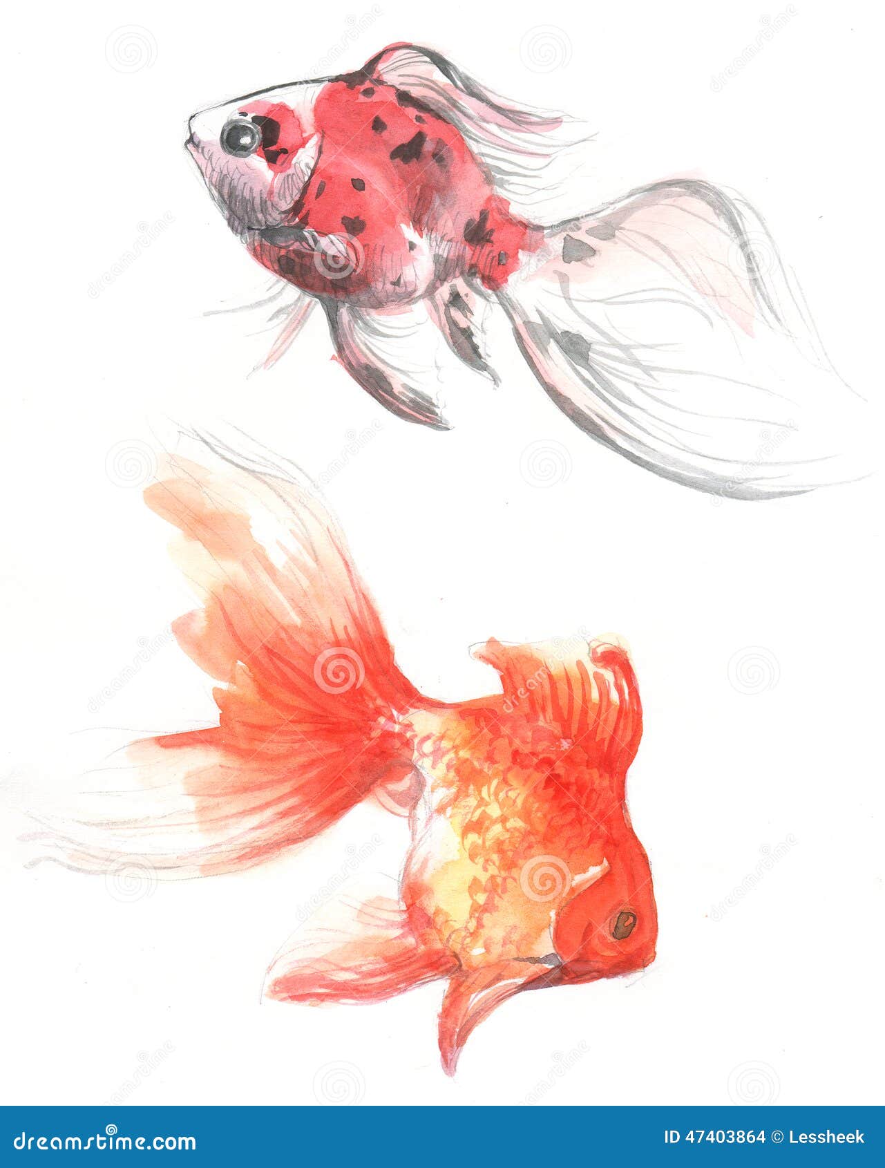 Pez de colores stock de ilustración. Ilustración de blanco - 47403864, image size:1281x1690