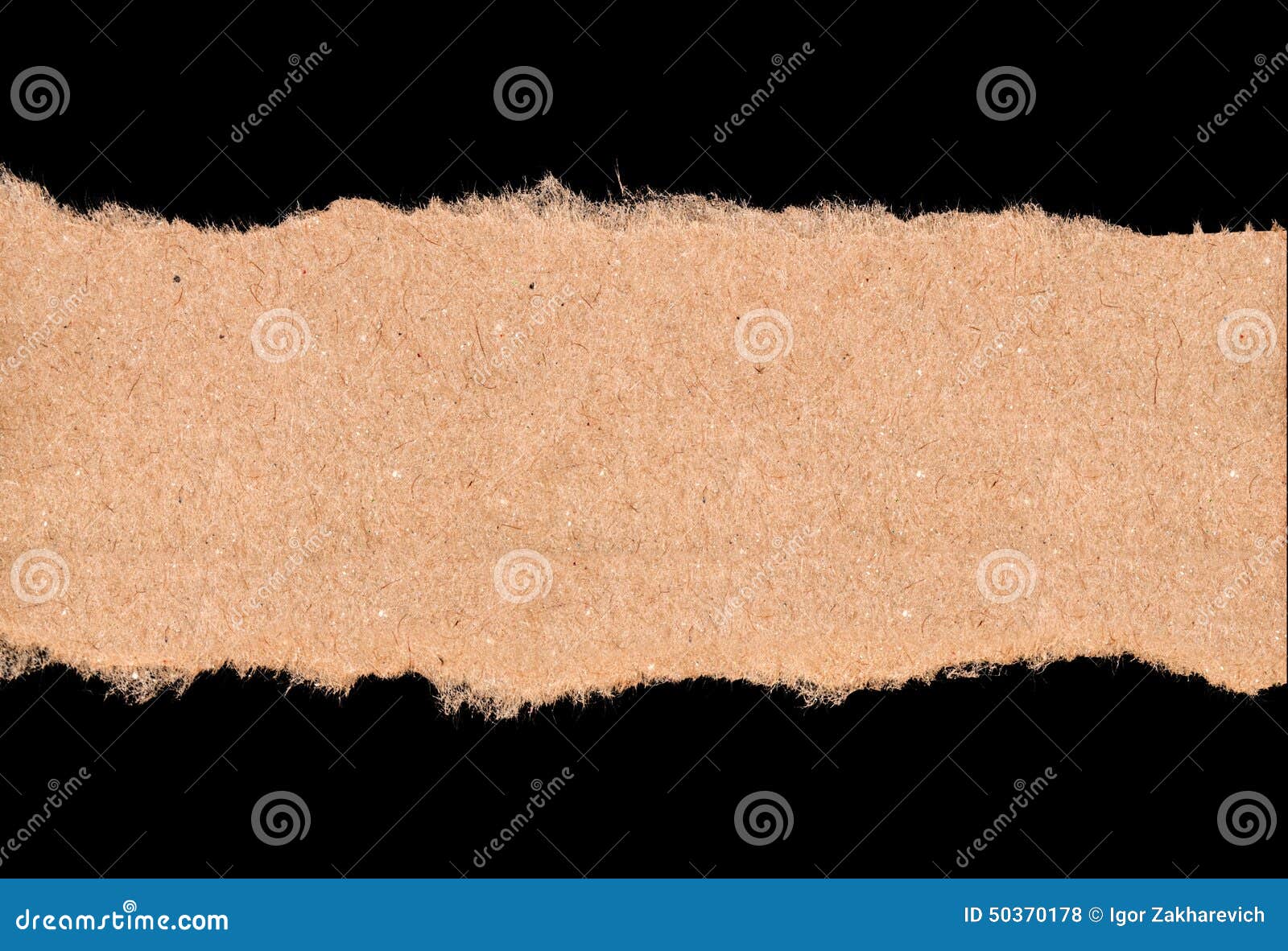 Angolini Adesivi Exacompta - Confezione Da 600 - Per Album Fotografici E Scrapbooking - Foto 6