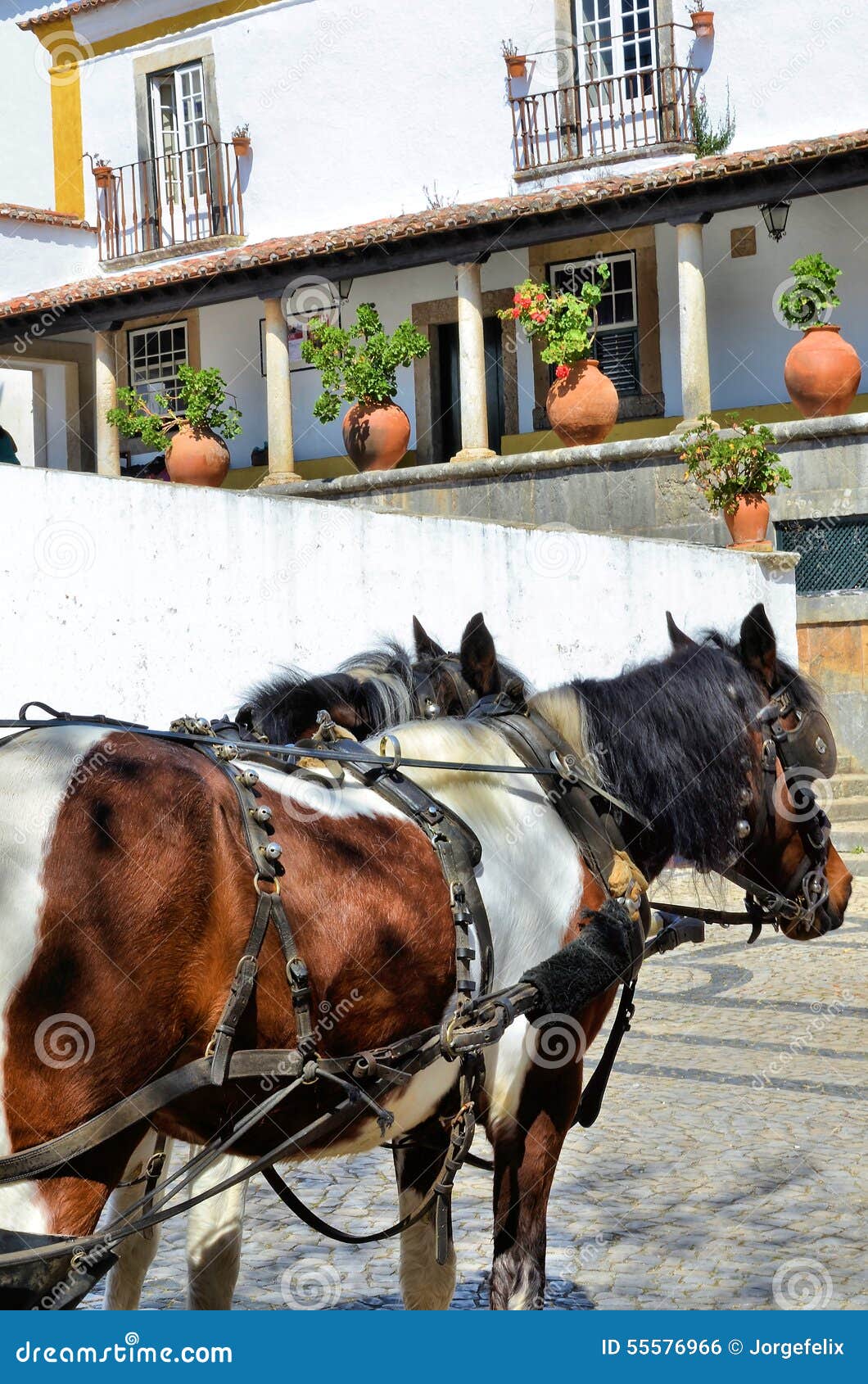 Vorgespannte Pferde in der mittelalterlichen Stadt von Obidos in Portugal